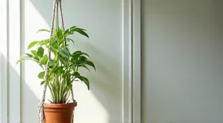 DIY Macrame Plant Hanger: A Stylish & Simple Home Decor Addition